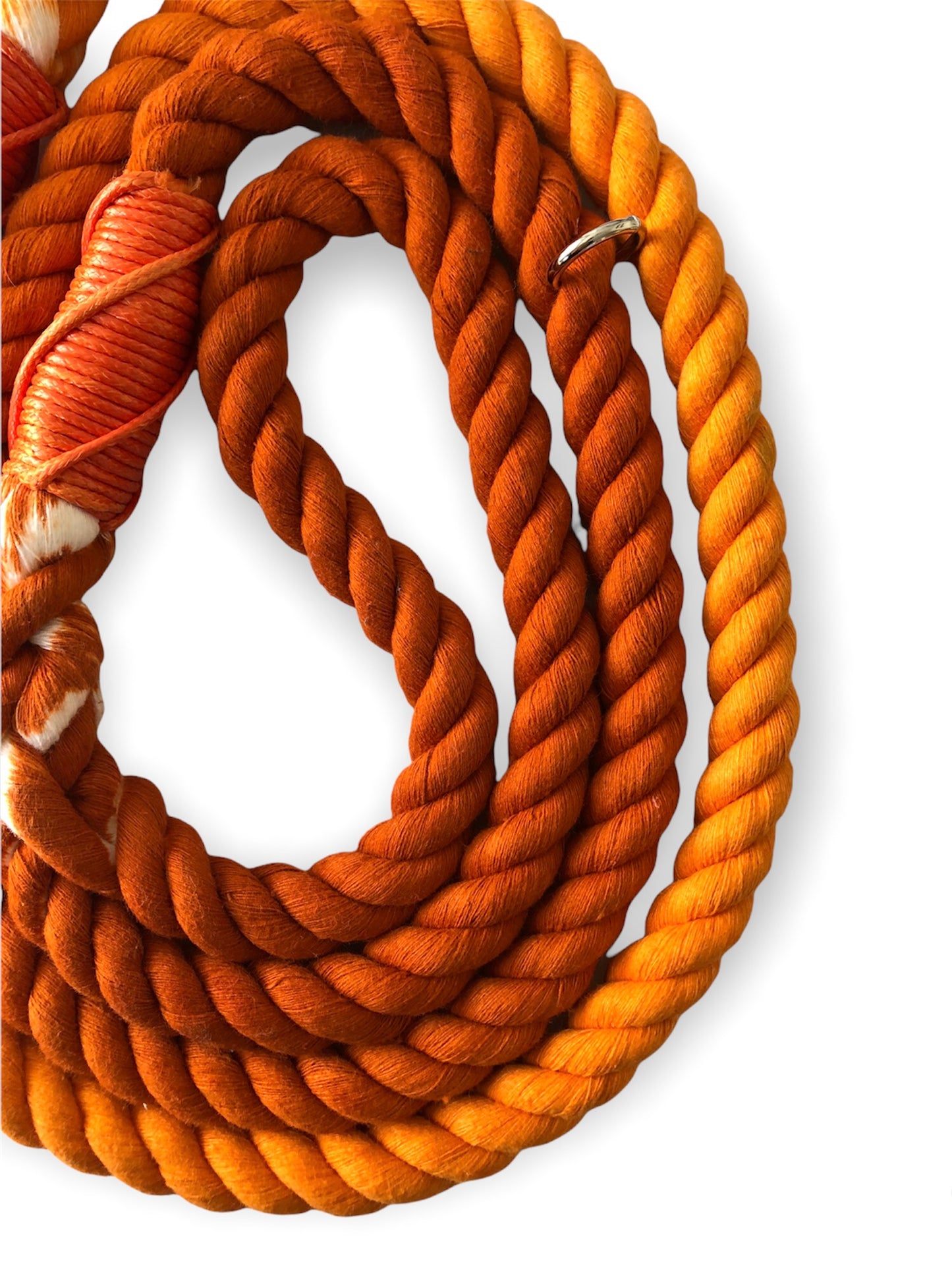 Rope Lead - Spice