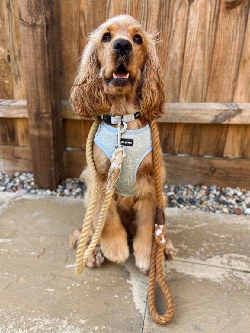 Rope Lead - Saddle