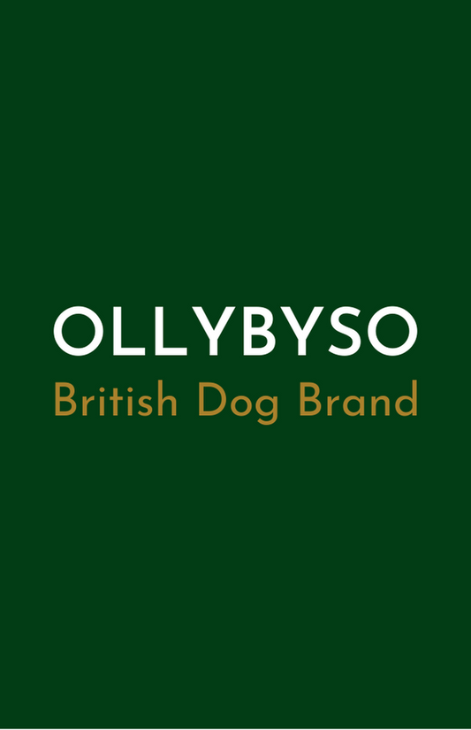Dog Harnesses OLLYBYSO
