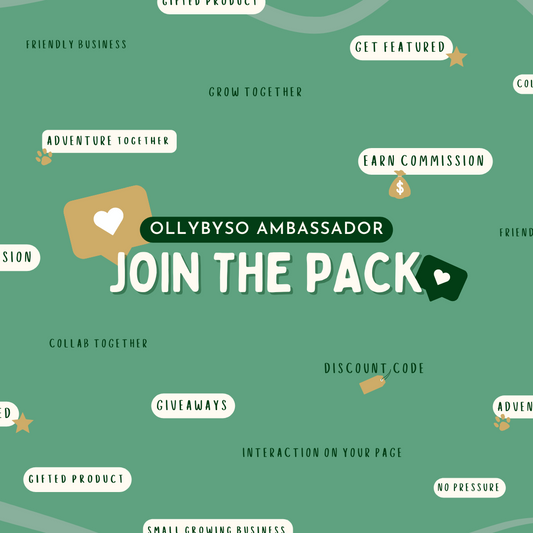 AFFILIATE LINK OLLYBYSO PACK & AFFILIATES