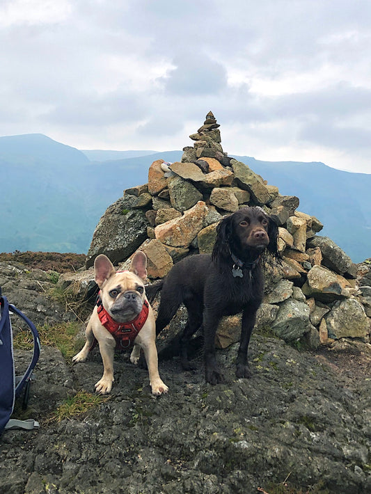 Great Crag & Grange Fell Wainwrights