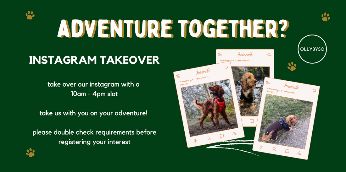 Adventure Together