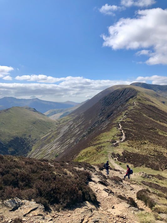Causey Pike > Wainwrights