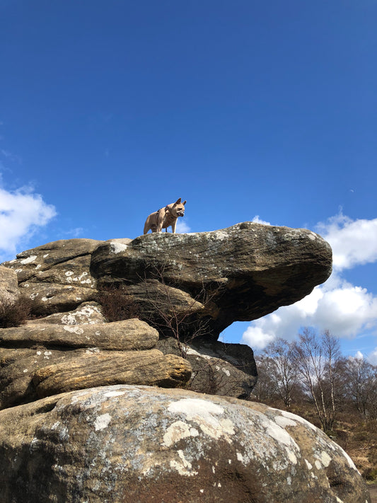 Brimham Rocks
