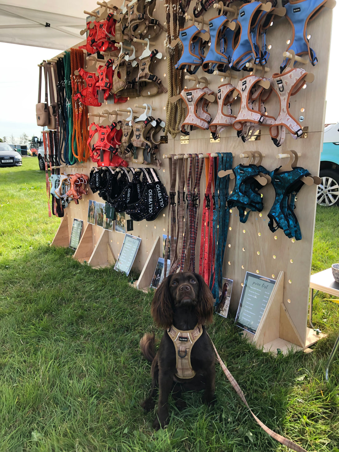 Wensleydale Agricultural Show
