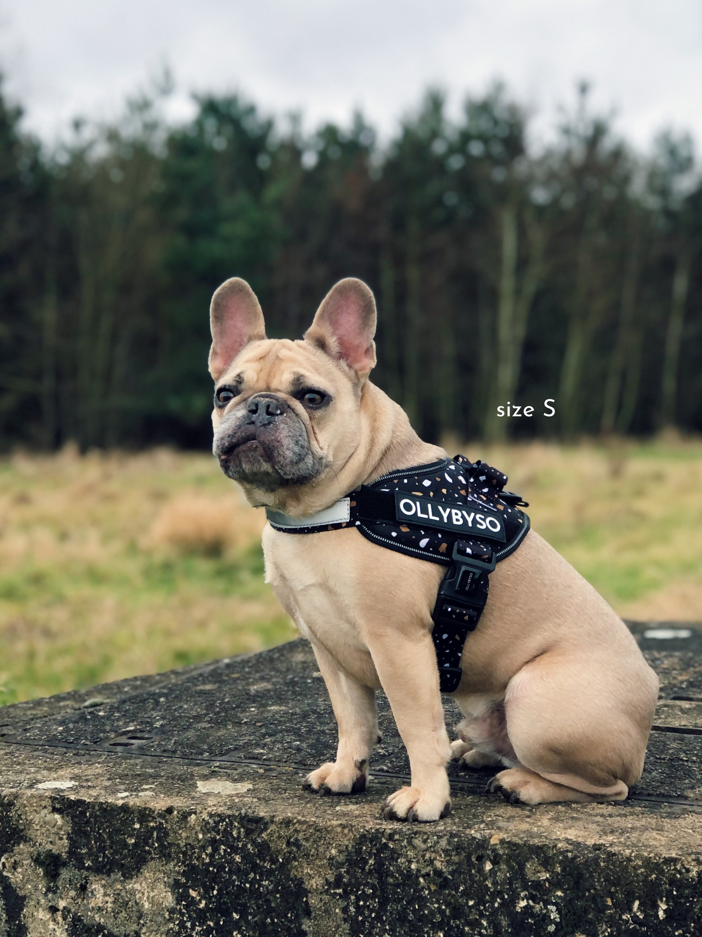 French bulldog harness, dog harness, saddle harness, reflective dog harness, harness with handle