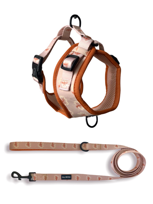 Harness & Lead Bundle - Eden