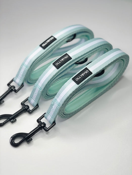 Sage Dog Lead