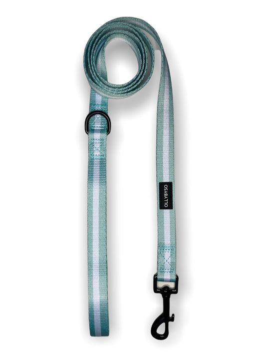 Sage Dog Lead