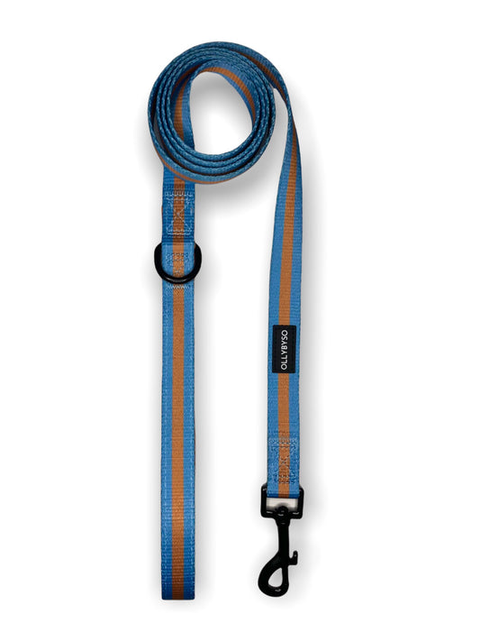 blue dog lead, adjustable dog harness, uk dog harnesses, dog accessories, dog collars
