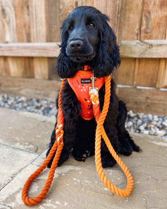 Rope Lead - Spice